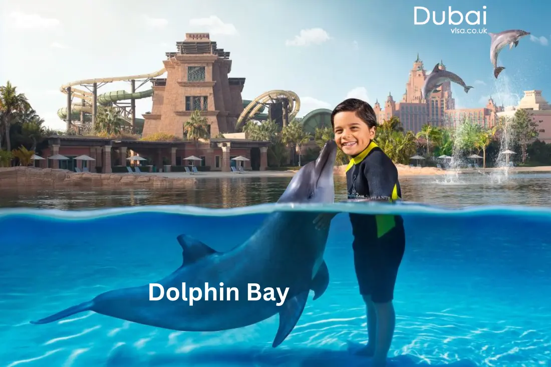 Dolphin Bay at atlantis water park dubai